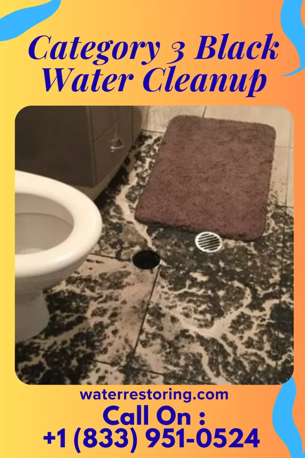 Category 3 Black Water Cleanup in Matinecock, NY
