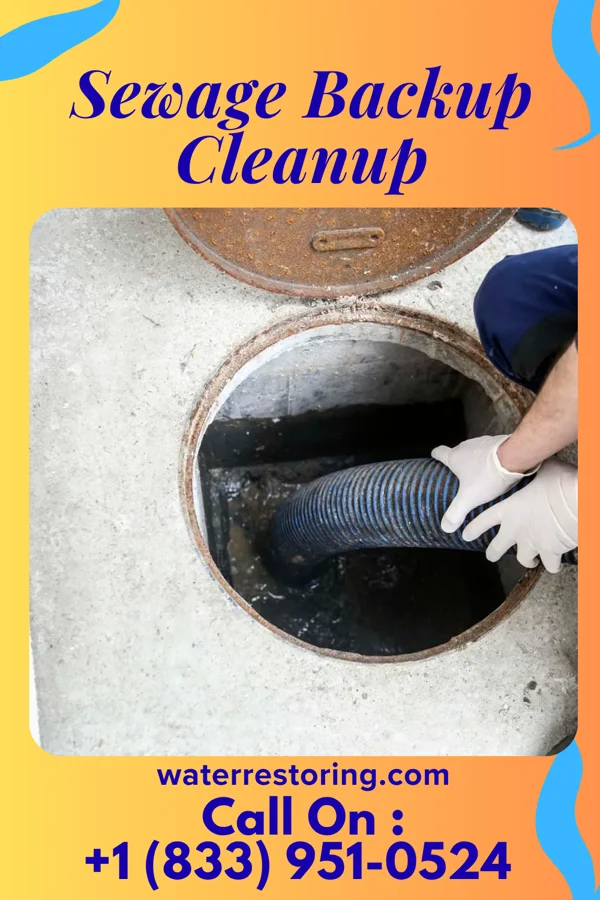 Sewage Backup Cleanup in Matinecock, NY