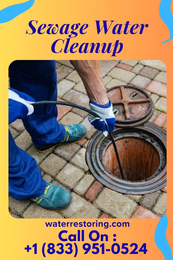 Sewage Water Cleanup in Matinecock, NY