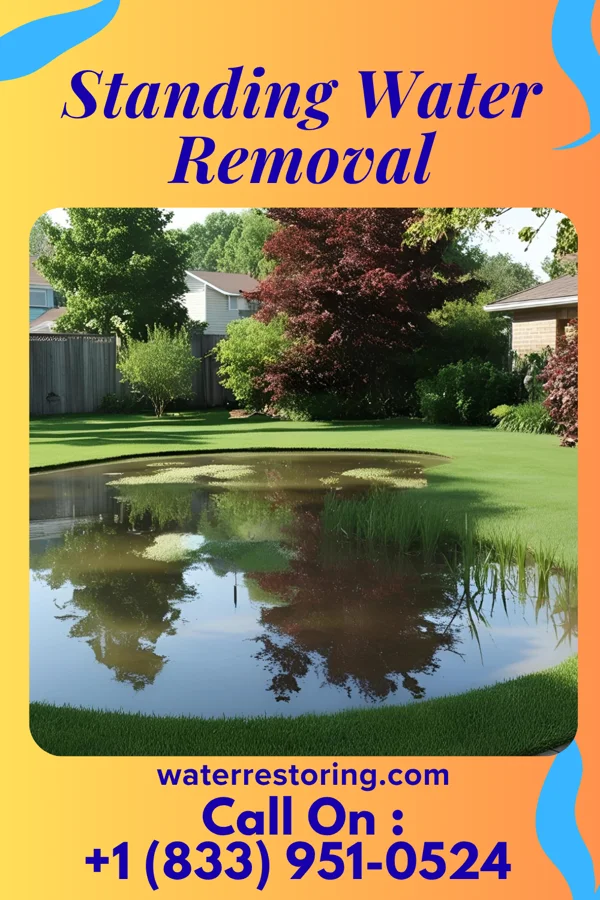 Standing Water Removal in Matinecock, NY